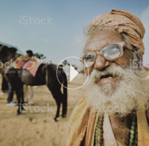 Video Gallery