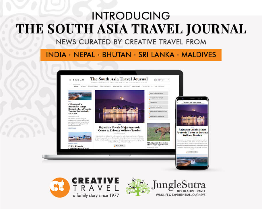 creative Newsletter NOVEMBER 2024